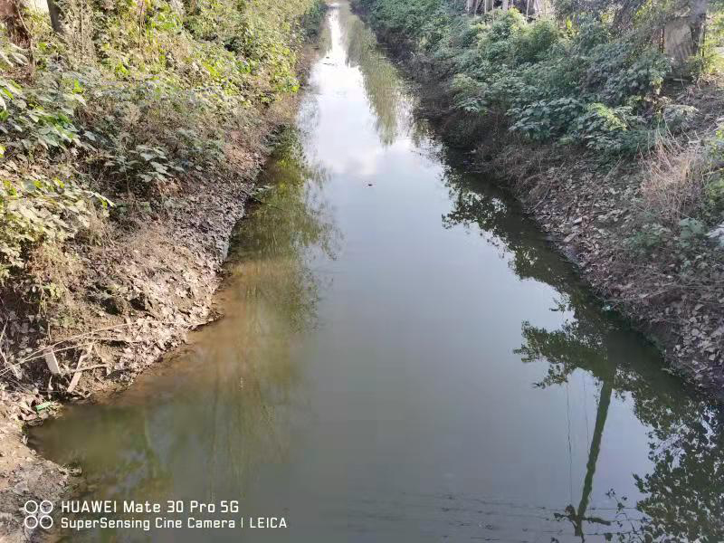 豐縣歡口鎮(zhèn)趙河涯大溝水生態(tài)修復工程