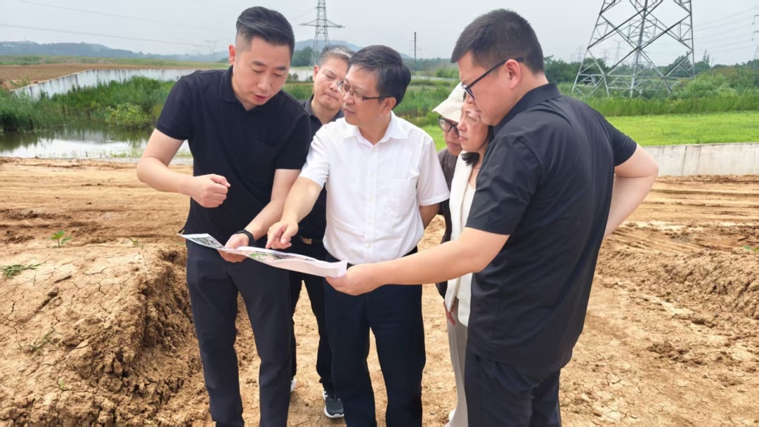 堅持標(biāo)本兼治系統(tǒng)治理 建設(shè)綠色低碳美麗省會 省生態(tài)環(huán)境廳開展督察整改調(diào)研